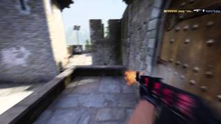 ESL One Cologne 2014 swag vs fnatic [upl. by Schecter107]