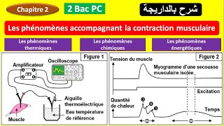 Les phénomènes accompagnant la contraction musculaire 2 bac pc BIOF شرح بالداريجة [upl. by Zetnwahs]