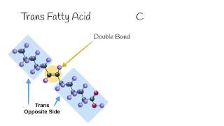 Cis vs Trans Alkene Bond Visualization [upl. by Minni]