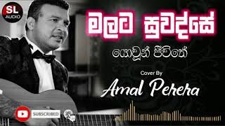 මලට සුවදසේ යොවුන් ජීවිතේ  Cover by Amal Perera  Malata Suwada se Yowun Jeewithe  SL Audio [upl. by Alohcin]