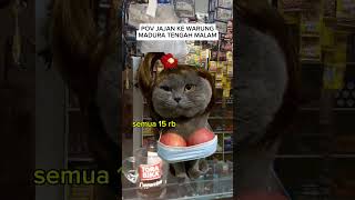 Pov cat catmeme meme kucinglucu catphoto kucing cattax fyp funny short [upl. by Delaine]