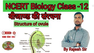 structureofovule rajeshsirbio biology neet ncertbiology rajeshsir बीजाण्ड [upl. by Roma]