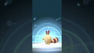 Evolving SHINY ✨ Sentret to Furret  Pokémon GO Shiny Evolution [upl. by Assitruc]