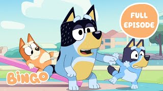 Bingo on the Seesaw 🧡  Bluey Full Episode  Bingo  Official Channel [upl. by Garrick623]