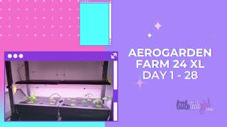 AeroGarden Farm 24 XL Day 1  Day 28 [upl. by Holton]