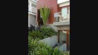 Cycads  Encephalartos whitelockii installation in Manhattan Beach California [upl. by Aekim]