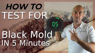 How To Test For Black Mold In 5 Minutes [upl. by Stargell]