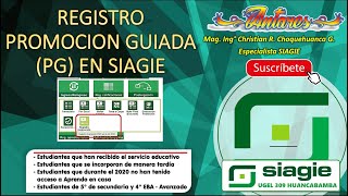 REGISTRO DE NOTAS  PROMOCION GUIADA EN SIAGIE [upl. by Albrecht469]