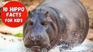 10 Awesome Facts About Hippos for Kids [upl. by Kenneth425]