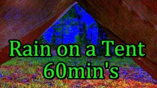 quotRain on a Tentquot 60min quotSleep Videoquot wo music [upl. by Saeger87]