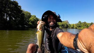 Quick Afternoon Kayak Session lands Giant Bass [upl. by Fernyak]