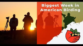 Biggest Week in American Birding [upl. by Nanine484]