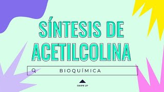 ⚡SÍNTESIS DE ACETILCOLINA💪 12  Dónde ocurre FUNCIONES Sustratos  NT [upl. by Hoy]