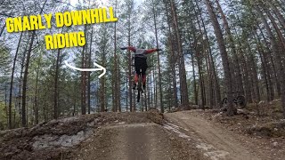 Downhill Riding In Nesbyen  Vlog [upl. by Alihs798]