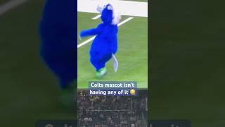 Colts mascot shenanigans nfl colts indianapoliscolts blue mascot popwarnerfootball fighting [upl. by Seymour]