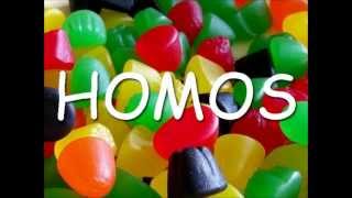 DANZIG  HOMOS MUSIC VIDEO HELLMASK STEREO MIX [upl. by Raquela316]