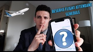 Reserve Flight Attendant schedule  detailed explanation [upl. by Akemaj]