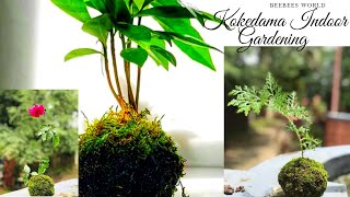 How to Make Kokedama Japanese Moss Ball Easy Way to Make Kokedama Kokedama Tutorial Indoor Plant [upl. by Trev508]