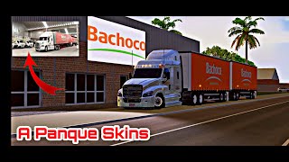 WTDS  Freightliner Cascadia  BACHOCO  Mods By vargasmods2374 [upl. by Chicky507]