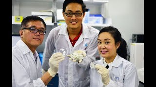 Using collagen from fish scales to heal wounds [upl. by Daggna]