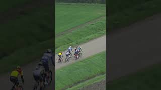 ⚠️WAAIERS💨 Scheldeprijs SP wielrennen [upl. by Crain]