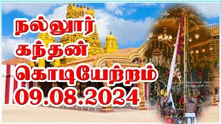 Nallur Kandaswamy Devasthanam Kodiyettam 2024 [upl. by Akilam]