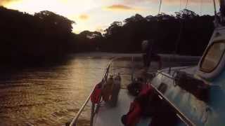 WhitiangaMercury islands Diving2014 BOP Poly Marine Studies [upl. by Iuq237]