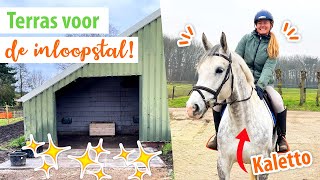 ZELF PAARDENTERRAS MAKEN amp bij KRISTY langs  felinehoi VLOG 430 [upl. by Mak]