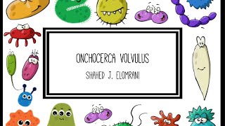 Onchocerca Volvulus [upl. by Grevera166]