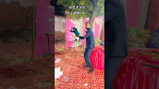 Cobra dance pankajdid dance pankajdancer comedydance bhojpuri [upl. by Byron]