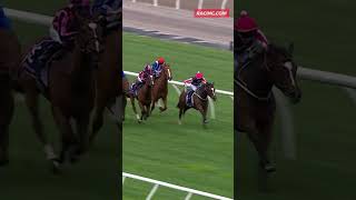 Swiftfalcon comes over the top to win Living Legends Trophy shorts horseracing racing horserace [upl. by Ayrb]