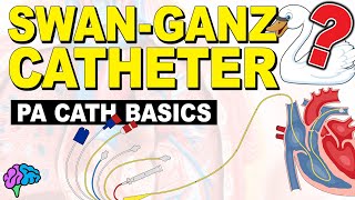 The BASICS of the Pulmonary Artery Catheter [upl. by Nnyltiak845]