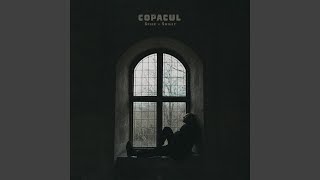 Copacul [upl. by Schlessinger]