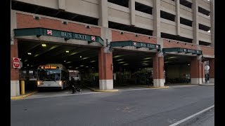 BeeLine Bus Various Bus Action  New Rochelle Transportation Center [upl. by Irrahs633]