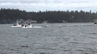 Olympia Harbor Days Tugboat Races 2015 [upl. by Ocsicnarf142]