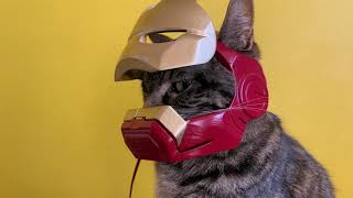 IRONMAN CAT helmet [upl. by Mcmahon768]