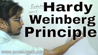 Hardy Weinberg principle class 12  CBSE Biology for NEET [upl. by Amabel]