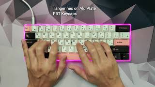 Plastic Case 60  Tangerines  Typing Sounds [upl. by Arand105]