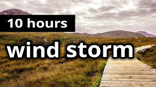 WIND SOUNDS quotA wind storm on the moors outsidequot  10 HOURS  A windy autumn day  SLEEP SOUNDS [upl. by Morse792]