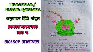 Translation अनुवादन OR Protein Synthesis Hindi Notes  Translation hindinotes biology 12bio [upl. by Idahs]