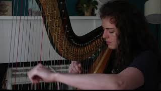 Aniron Aragorn amp Arwens Theme  Lord of the Rings Harp Cover [upl. by Harahs]