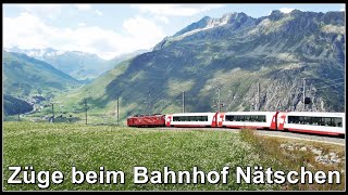 Swiss mountains and railroad  Glacier Express beim Bahnhof Nätschen Kanton Uri Schweiz 2021 [upl. by Euqinamod]