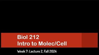 CSULB Biol 212 Fall 2024  Week 7 Lecture 2 [upl. by Lillis512]