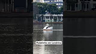 Pedalinho em Londrina famíliaviajante viajememfamilia viagememfamília familiaviajante ciclismo [upl. by Jo-Ann]