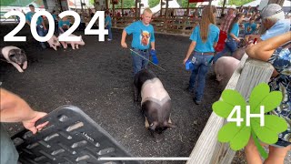 The 4H Experience Swine and Poultry This is our little County Fair [upl. by Tj537]