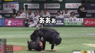 白井球審の急所にファールボールが直撃するアクシンデント！！！ 山川＆近藤爆笑 [upl. by Ngo]