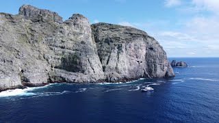 Diving Malpelo with the Ferox July 2022 [upl. by Ahtabat]