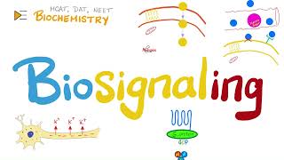 Biosignaling  Gproteins ligandgated voltagegated channels JAKSTAT  Biochemistry [upl. by Lattimer]