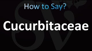 How to Pronounce Cucurbitaceae correctly [upl. by Chalmer634]