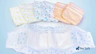 Disposable Male Dog Diapers [upl. by Ezeerb]